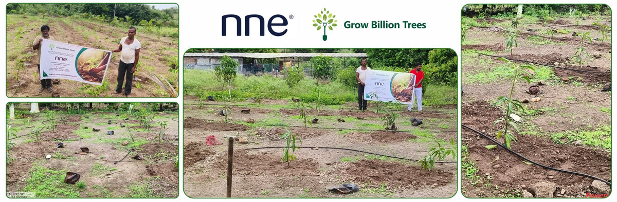 Engineering a Greener Future: NNE’s Agroforest Approach