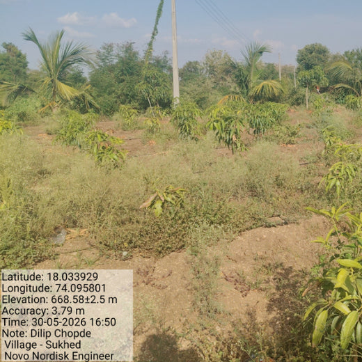 Engineering a Greener Future: NNE’s Agroforest Approach – 2 years