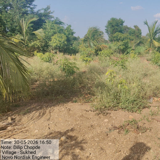 Engineering a Greener Future: NNE’s Agroforest Approach – 2 years