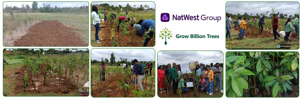NatWest Digital Services India’s Urban Forest Initiative in Bengaluru