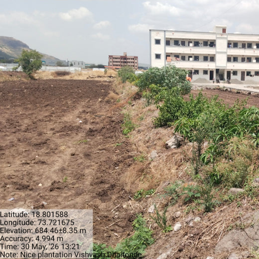Agroforest Allies: NICE’s Employee Engagement Through Tree Planting – 2 years