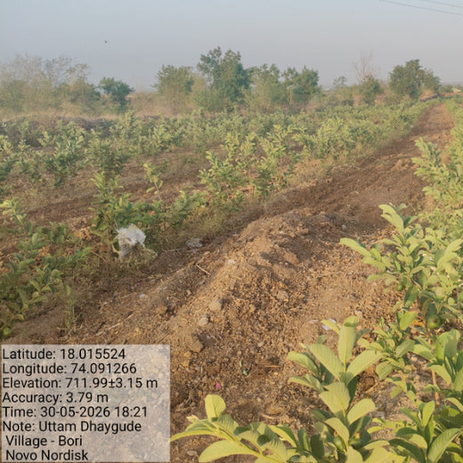NOVO GBS (Global Business Service): Greening Lives, Growing Futures – 1 year