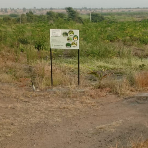 Each Tree, a Step Forward: Nutanix's Agroforest CSR Initiative – 6 months