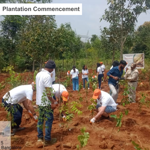 Planting Change: OneAdvanced’s Urban Forest CSR Drive – 6 months