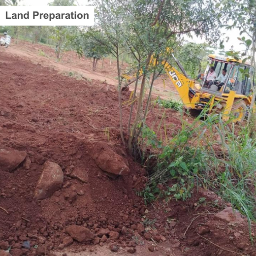 Planting Change: OneAdvanced’s Urban Forest CSR Drive – Planting
