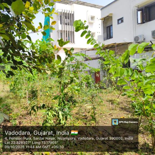 Advancing Sustainability Through OneAdvanced’s CSR Initiative – 1 year
