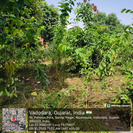 Advancing Sustainability Through OneAdvanced’s CSR Initiative – 1 year