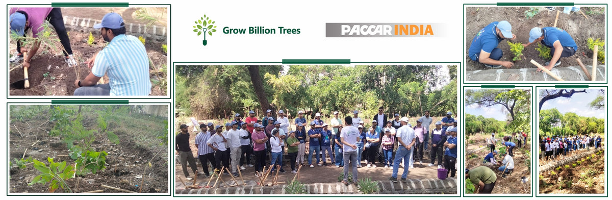 From Engineering to Ecology: PACCAR India's CSR Green Initiative