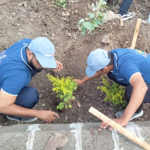 From Engineering to Ecology: PACCAR India's CSR Green Initiative – 6 months