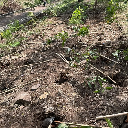 From Engineering to Ecology: PACCAR India's CSR Green Initiative – Planting