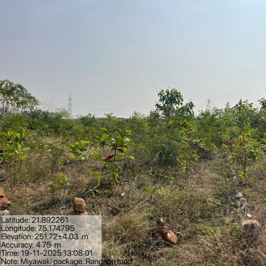 Project Aranyam by Pack8: Growing a Sustainable Community Forest – 3 years