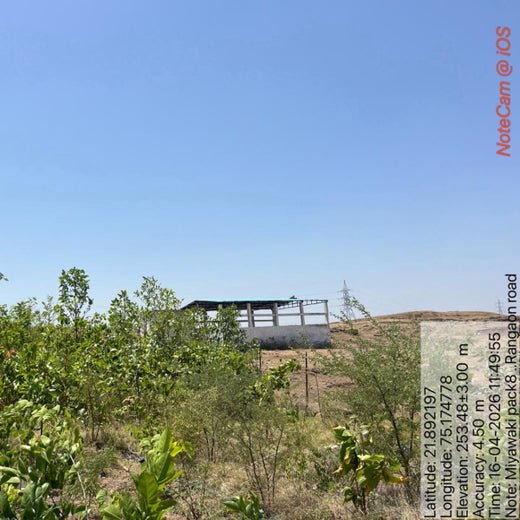 Project Aranyam by Pack8: Growing a Sustainable Community Forest – 3 years