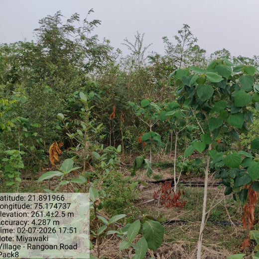 Project Aranyam by Pack8: Growing a Sustainable Community Forest – 3 years