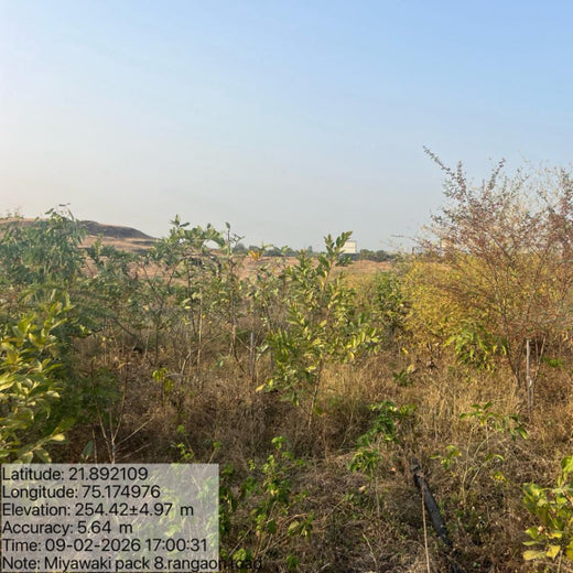 Project Aranyam by Pack8: Growing a Sustainable Community Forest – 3 years