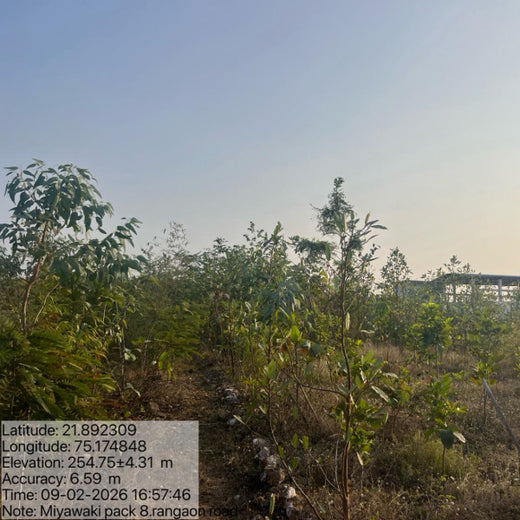Project Aranyam by Pack8: Growing a Sustainable Community Forest – 3 years