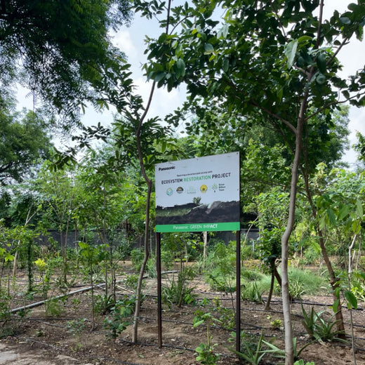 Shaping Tomorrow: Panasonic Green Impact Pledge – 2 years