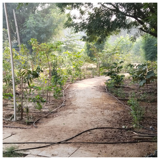 Shaping Tomorrow: Panasonic Green Impact Pledge – 6 months