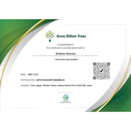 Sustainable Birthdays: Pernod Ricard India’s Green Celebration for Employees – Planting