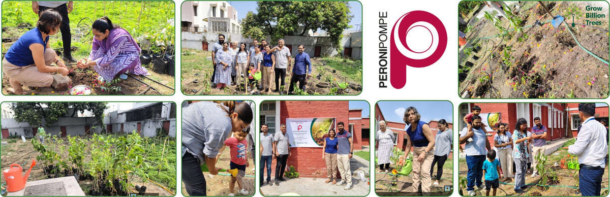 Planting Progress: Peroni Pumps’ Green CSR Drive