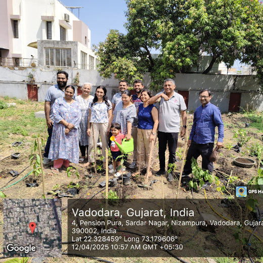 Planting Progress: Peroni Pumps’ Green CSR Drive – Planting