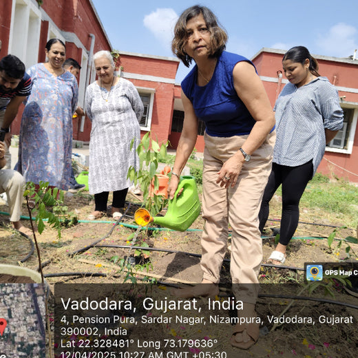 Planting Progress: Peroni Pumps’ Green CSR Drive – Planting
