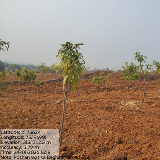 Empowering Village: The Poshan Vatika Initiative by Grow Billion Trees – 1 year