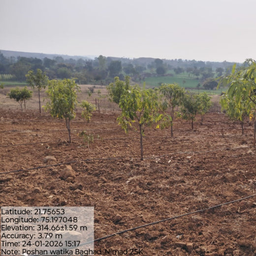 Empowering Village: The Poshan Vatika Initiative by Grow Billion Trees – 1 year