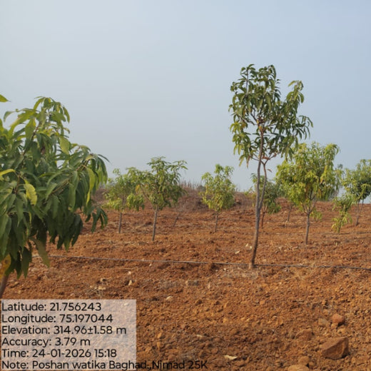Empowering Village: The Poshan Vatika Initiative by Grow Billion Trees – 1 year