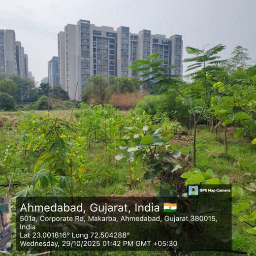 Building Greener Cities: Priority IDC’s Urban Forestry Initiative – 1 year