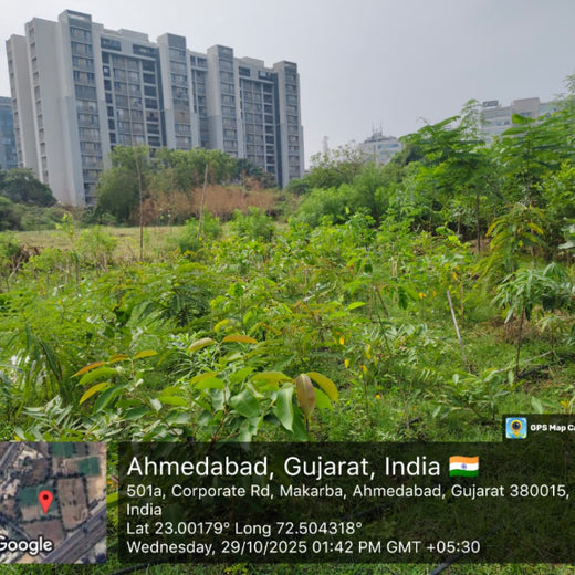 Building Greener Cities: Priority IDC’s Urban Forestry Initiative – 1 year