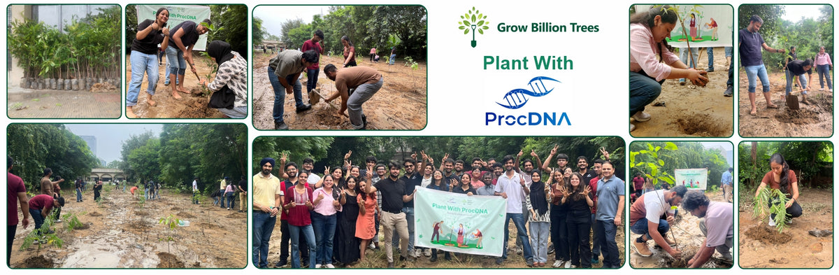 Deep Roots, Strong Teams: ProcDNA's Employee-Driven Green Initiative