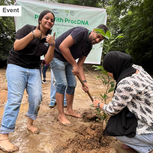 Deep Roots, Strong Teams: ProcDNA's Employee-Driven Green Initiative – 6 months