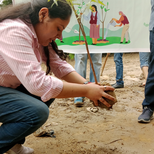 Deep Roots, Strong Teams: ProcDNA's Employee-Driven Green Initiative – 6 months