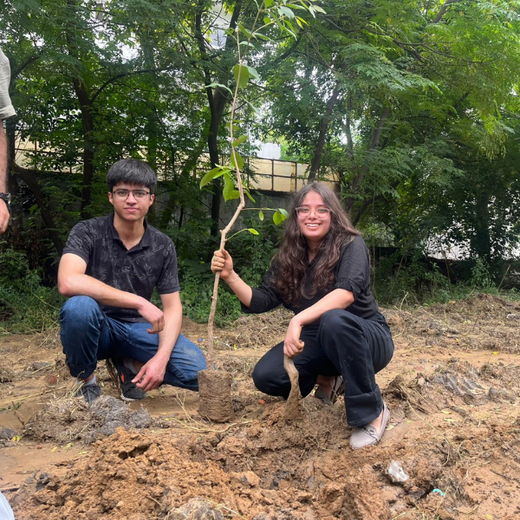 Deep Roots, Strong Teams: ProcDNA's Employee-Driven Green Initiative – 6 months