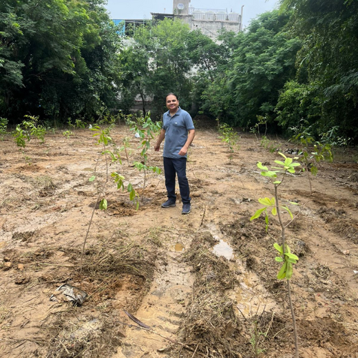 Deep Roots, Strong Teams: ProcDNA's Employee-Driven Green Initiative – 6 months