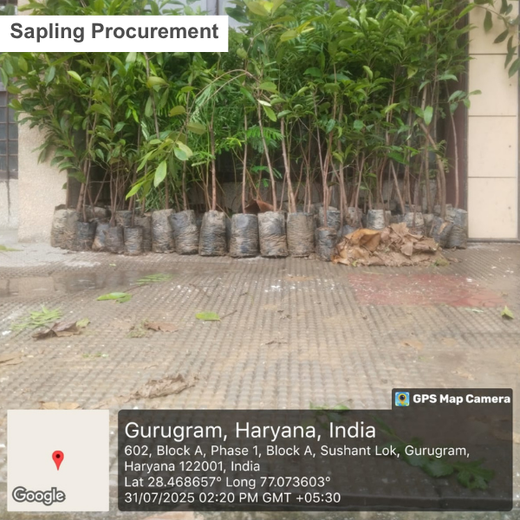 Deep Roots, Strong Teams: ProcDNA's Employee-Driven Green Initiative – Planting