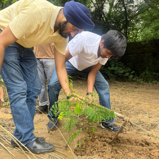 Deep Roots, Strong Teams: ProcDNA's Employee-Driven Green Initiative – 6 months