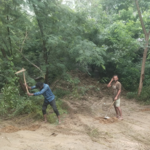 Deep Roots, Strong Teams: ProcDNA's Employee-Driven Green Initiative – Planting