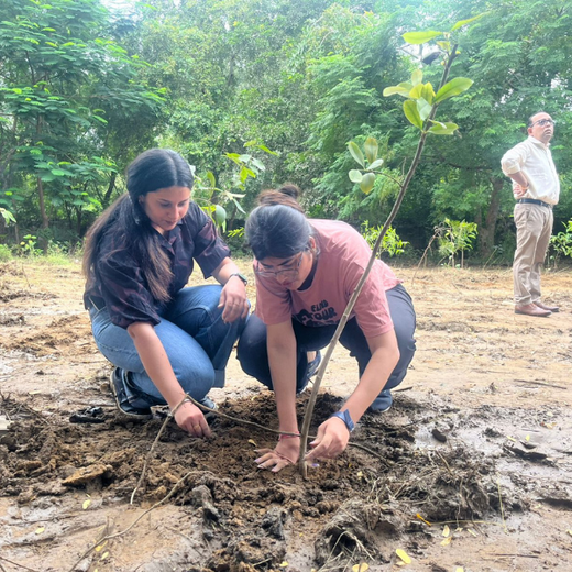Deep Roots, Strong Teams: ProcDNA's Employee-Driven Green Initiative – 6 months