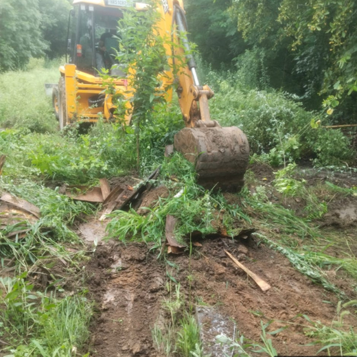 Deep Roots, Strong Teams: ProcDNA's Employee-Driven Green Initiative – Planting