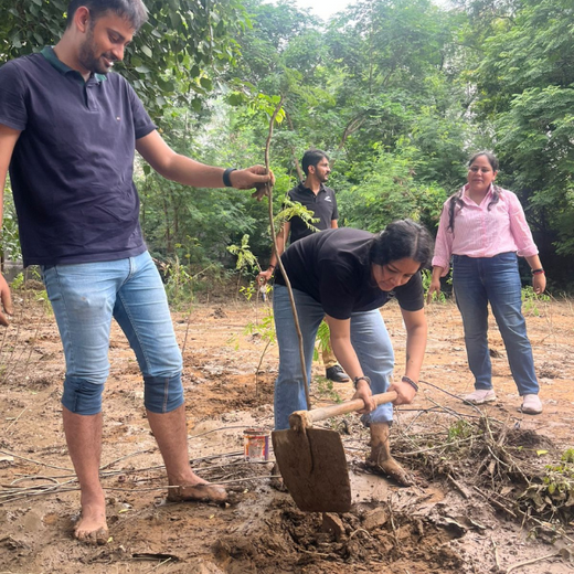 Deep Roots, Strong Teams: ProcDNA's Employee-Driven Green Initiative – 6 months