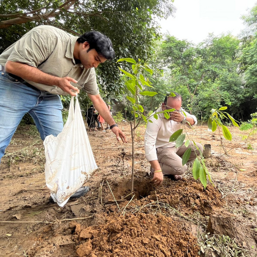 Deep Roots, Strong Teams: ProcDNA's Employee-Driven Green Initiative – 6 months