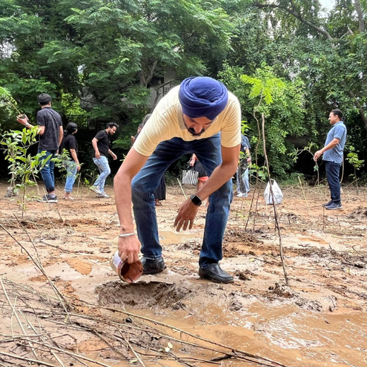 Deep Roots, Strong Teams: ProcDNA's Employee-Driven Green Initiative – 6 months