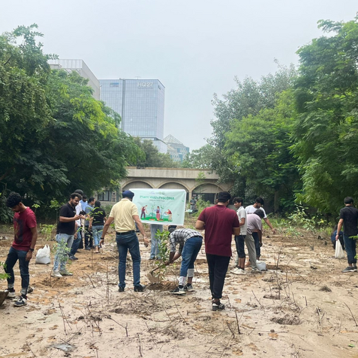 Deep Roots, Strong Teams: ProcDNA's Employee-Driven Green Initiative – 6 months
