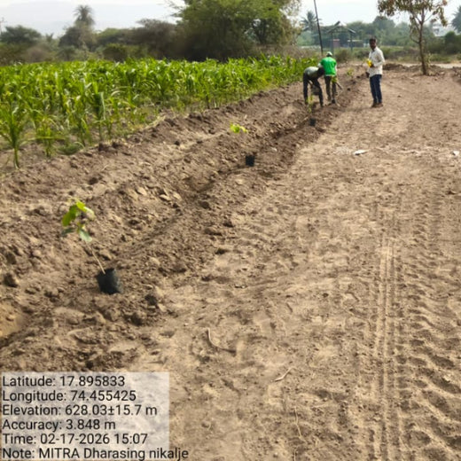 MITRA: Uniting Stakeholders for Scalable Climate Solutions – Planting