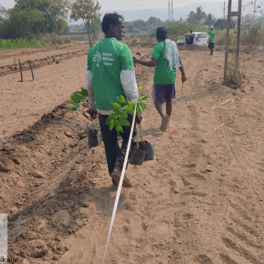Mumbai Climate Week: Agroforest Plantation for Climate Resilience – Planting