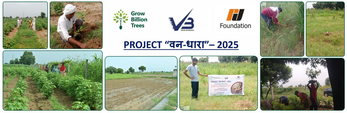 Varun Beverages Ltd through CSR Arm RJ Foundation: Project Van Dhara