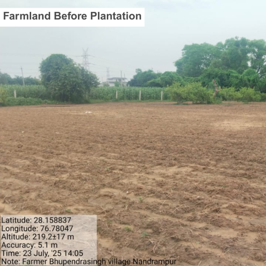 Varun Beverages Ltd through CSR Arm RJ Foundation: Project Van Dhara – Planting