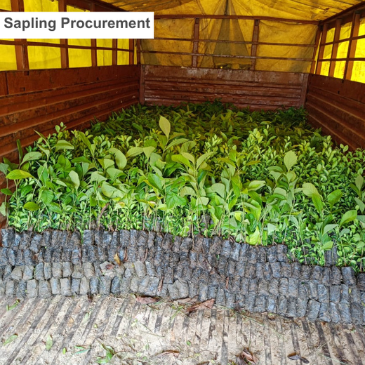 Varun Beverages Ltd through CSR Arm RJ Foundation: Project Van Dhara – Planting