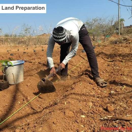 Project Van Dhara Under Varun Beverages Ltd’s CSR Arm RJ Foundation – Planting